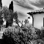 Orti Di Capalbio