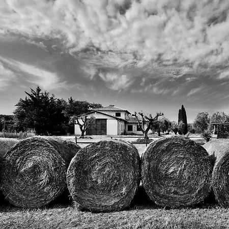 Bauernhof Orti Di Capalbio