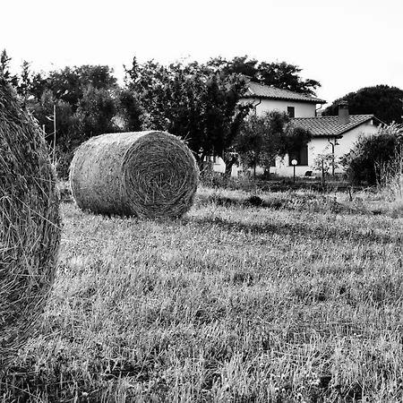 Orti Di Bauernhof